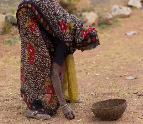 WELCOME TO THE RIPPLE EFFECT!